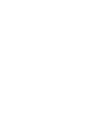 Levity Logo